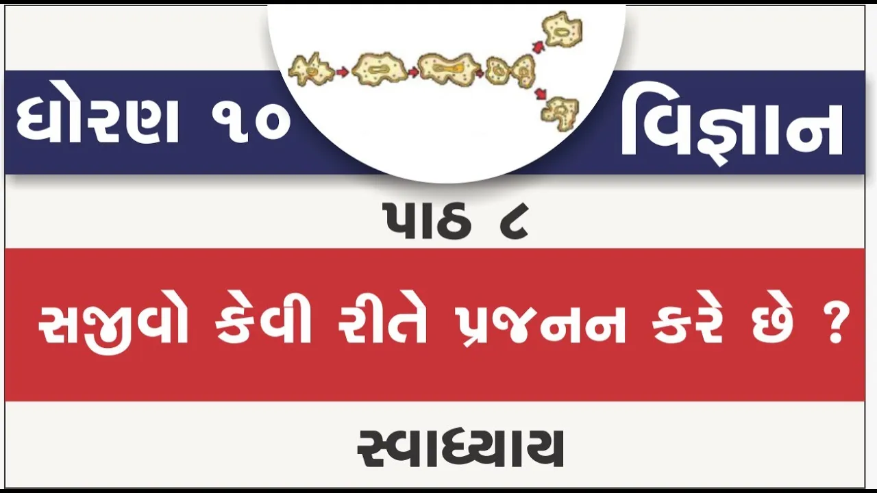 08 dhoran 10 vigyan path 8 swadhyay std 10 science ch 8 sajivo kevi rite prajanan kare chhe ｜ part 8